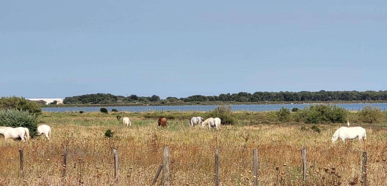La Cigale De Mer A 100 M De La Plage Et Du Centre Ville Du Grau Du Roi Le Grau-du-Roi Kültér fotó